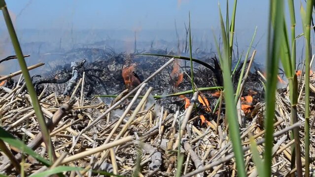 Accident, fire in the spring. Suffocating smoke, fire