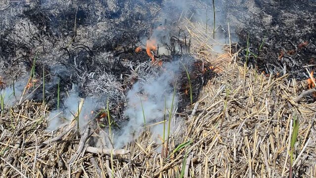 Suffocating smoke, fire. Accident, fire in the spring