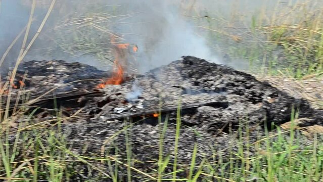 Fire in the spring. Smoke and wind