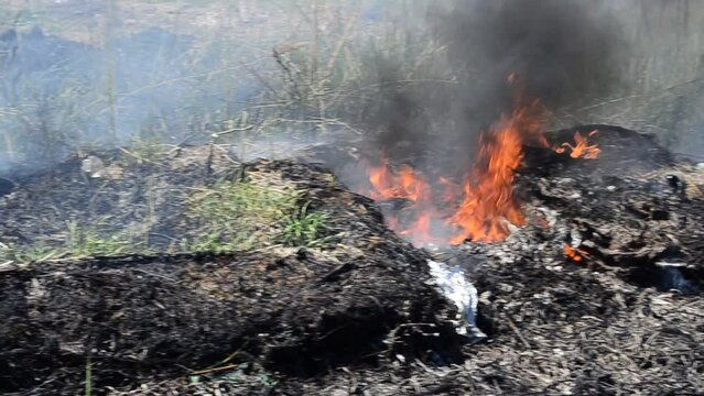 Fire in the field. Hot spring