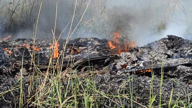 Smoke and wind. Fire in the spring