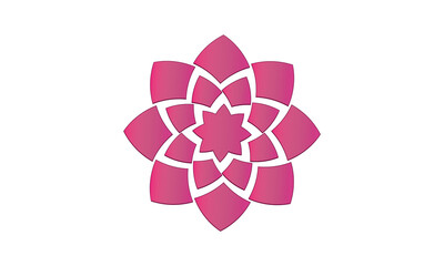 Fototapeta premium The Pink Belle Rose