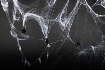 Black plastic spiders hang on a white cobweb on a black and gray background