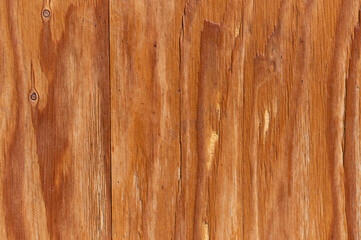 Texture of wood background closeup