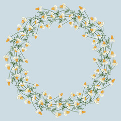 Decorative floral wreath from drawn chamomile wildflowers