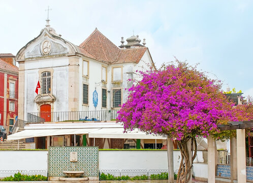 Santa Luzia Church In Lisbon, Portugal