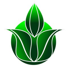 green leaf icon