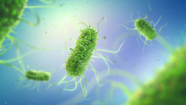 Animation of pathogenic Salmonella bacteria. Salmonella infection (Salmonellosis) is usually caused by contaminated food or water