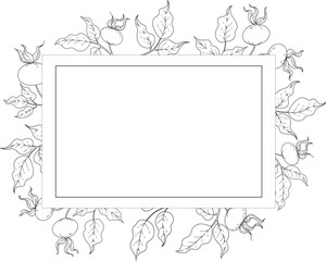 vector frame framing border line art of leaves and berries