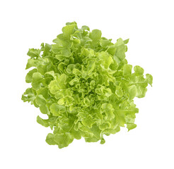 Fresh lettuce isolated on transparent background (.PNG). Top view