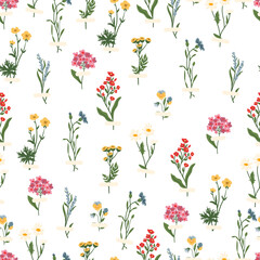 Wild flowers vector seamless pattern. herbs, herbaceous flowering plants, blooming flowers, subshrubs texture. Hand drawn flat botanical illustration. Buttercups, pansy, tansy, cornflower, lavender