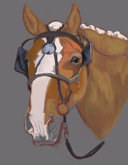 portrait of a Draft horse in harness © Betseys