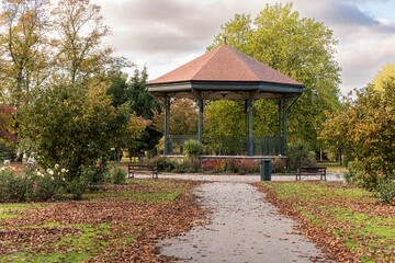 Autumn yellow leaves close-up against the blue sky and sunbeams. Bright yellow tree leaves on a warm October day. Autumn framing of orange leaves.