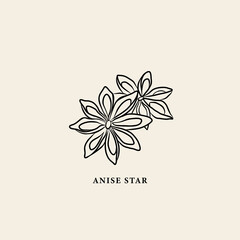 Line art anise star illustration