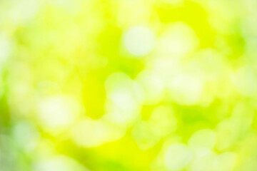 Obraz premium Green background