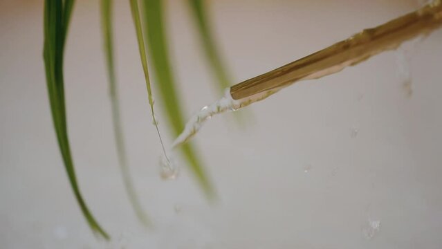 water droplets on the handle of a gold spoon