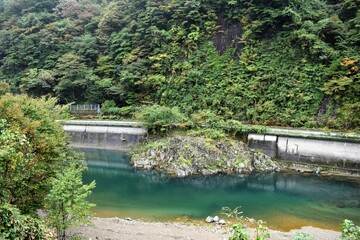 Fototapeta premium 山間の清流