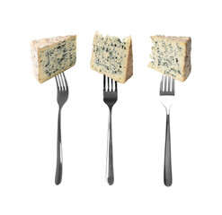 Piece of Blue Mold Cheese on White Background Close Up