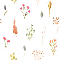 Seamless pattern of watercolor dried flowers, isolated on white background. Hand drawn painted flower illustration. Autumn design fashion fabric, textile, cover, wrapping paper product, blog, cloth