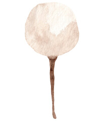 watercolor dried flowers isolated on white background. Hand drawn wildflowers illustration. Flower clipart. Autumn design to fashion fabric, textile, cover, wrapping paper product, blog, cloth