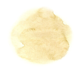 watercolor dried flowers isolated on white background. Hand drawn wildflowers illustration. Flower clipart. Autumn design to fashion fabric, textile, cover, wrapping paper product, blog, cloth