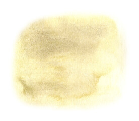 watercolor dried flowers isolated on white background. Hand drawn wildflowers illustration. Flower clipart. Autumn design to fashion fabric, textile, cover, wrapping paper product, blog, cloth