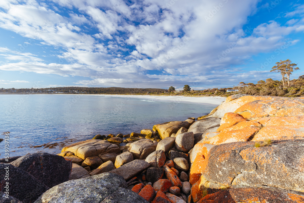 Poster binalong bay beach in tasmania australia