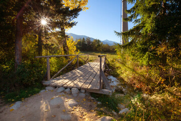 Autumn nature landscape with the with bridge over the stream and colorful trees, sunlight sun in Bansko ski road, Bulgaria