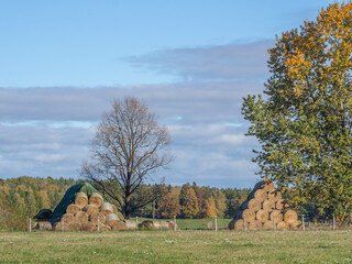 Krajobraz wiejski z belami siana © EwaAF