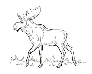 

Animals, elk. Coloring book for children, black and white image. Vector drawing.