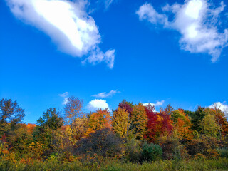 Fall at Blendon Woods Metro Park, Columbus, Ohio