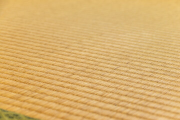 ローアングルで眺める畳の表面