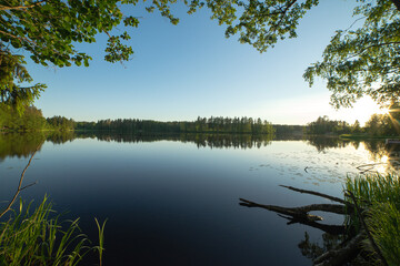 Summer forest lake with blue water. A great place for fishing. A lake on the Karelian Isthmus. Morning fishing in summer.