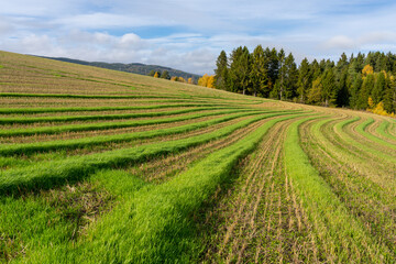 Lawn mowing pattern in a field. 