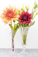 Fototapeta premium A large orange, coral dahlia in a tall glass vase with a large red dahlia with lisianthus in a separate vase. White background.