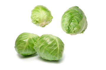 Cabbage isolated on white background.
