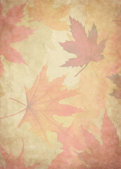 Old Autumn Paper Texture Photoscan