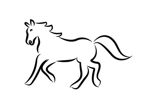 Black horse silhouette isolated on white background. Horse logo. Black and white graphics. Elegant creative horse logo symbol design vector.
