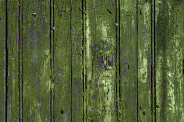 Old green painted rustic wooden wall