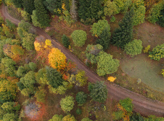 Colorful Trees in Autumn Season.artvin