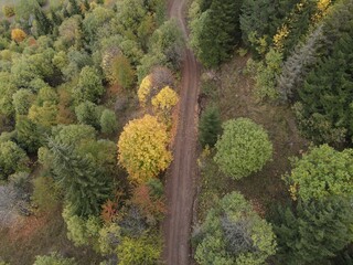 Colorful Trees in Autumn Season.artvin