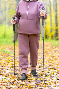 Elderly Unrecognizable Man In Purple Sports Suit Is Engaged In Scandinavian Walking. Scandinavian Sticks. Against Background Of Autumn Forest.