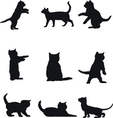 silhouettes of cats