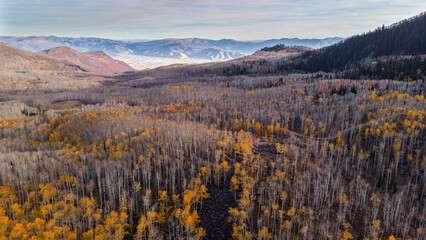 End of Autumn at Bonanza Flat near Guardsman Pass in Utah, the town of Midway in the distance.