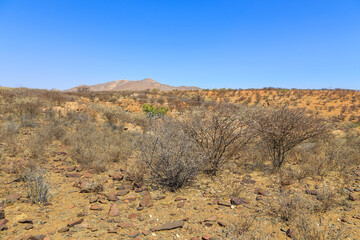 African savannah during a hot day. Oanob, Namibia.