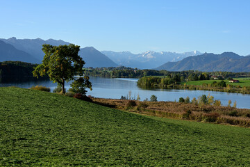 Ein Baum steht auf einer grünen Wiese vor einem schönen See und im Hintergrund sieht man die...