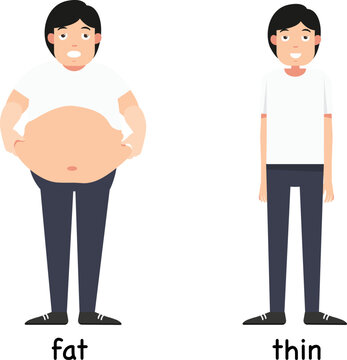 Opposite words fat and thin vector illustration
