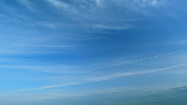 Tropical summer sunlight. White and blue clouds background. Tropical summer morning bright sunlight. Timelapse.