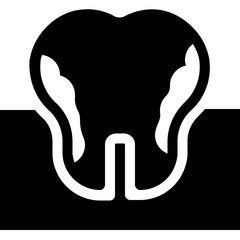 decay tooth icon