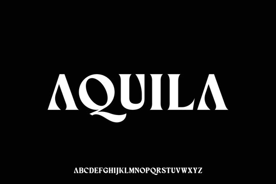 Elegant luxury bold serif display font vector